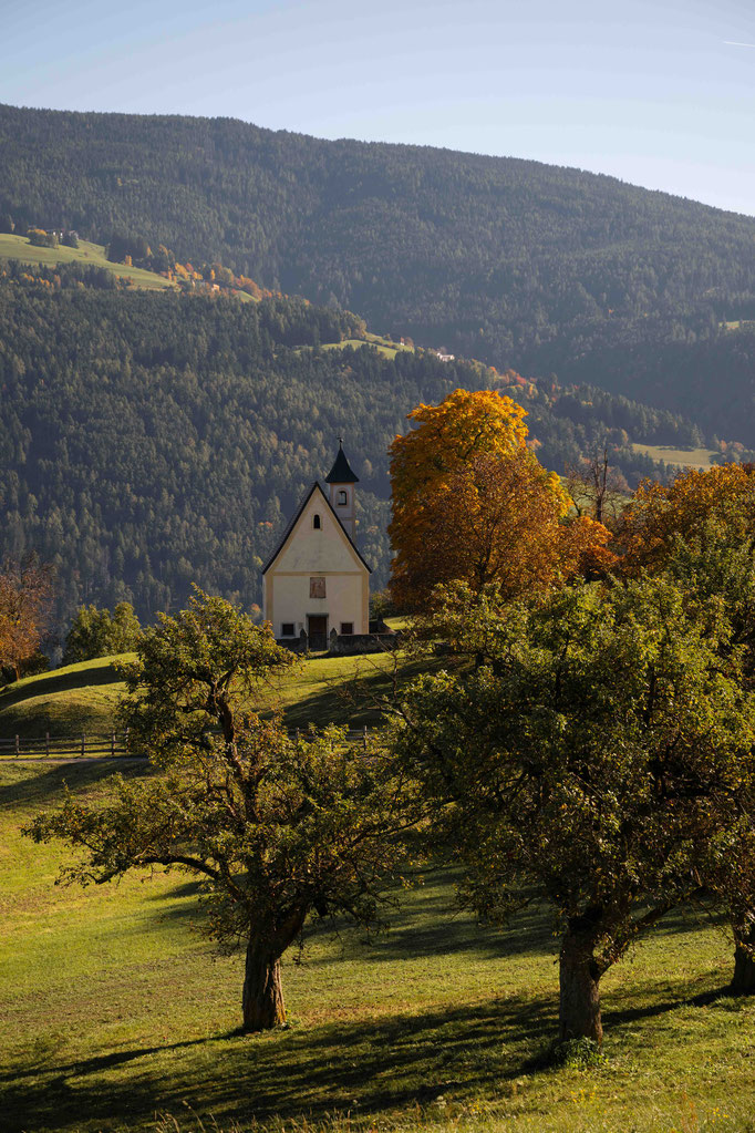 Panoramaweg & Keschtnweg Feldthurns – eine der schönsten Herbstwanderungen im Eisacktal, Südtirol ©Marika Unterladstätter