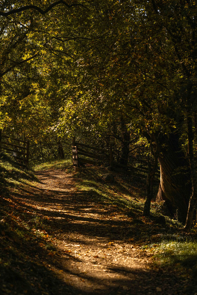 Panoramaweg & Keschtnweg Feldthurns – eine der schönsten Herbstwanderungen im Eisacktal, Südtirol ©Marika Unterladstätter