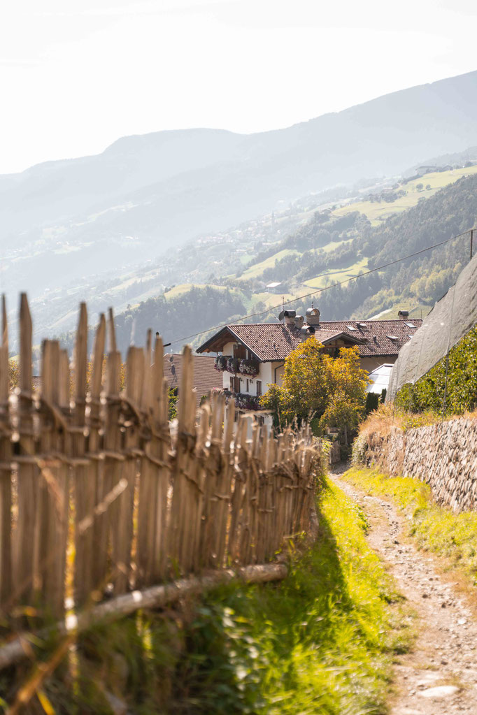 ON THE CHESTNUT TRAIL FROM FELDTHURNS TO KLAUSEN, Eisack Valley - South Tyrol ©Lena Sulzenbacher
