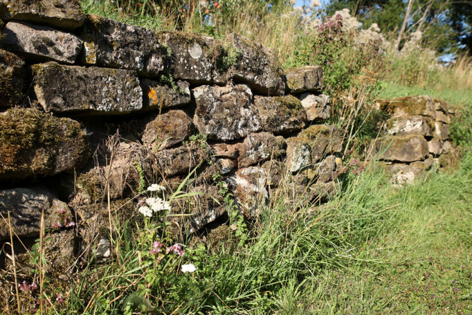Eidechsenlebensraum Natursteinmauer - Foto: NABU/C. Wazinski