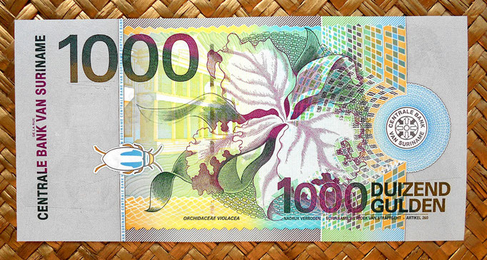 Surinam 1000 gulden 2000 reverso