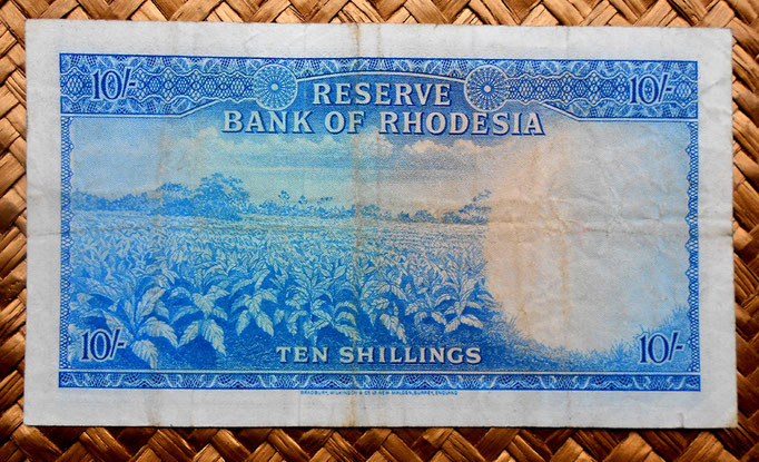 Rodesia 10 shillings 1964 reverso