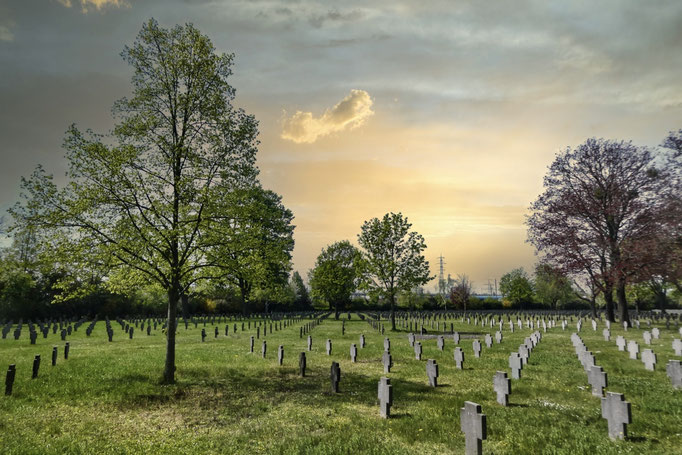 Wiener Zentralfriedhof