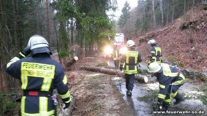 Nachdem der Baum zerkleinert wurde, wird er an den Fahrbahnrand verbracht. Später kümmern sich Forstarbeiter um den Baumstamm.