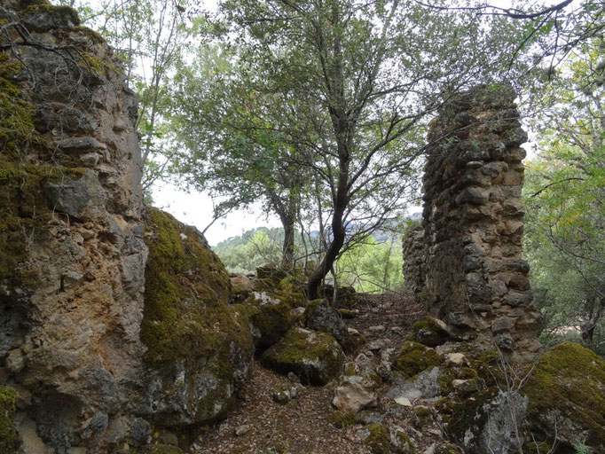 Castillo de Bujaraiza o de Los Salaos