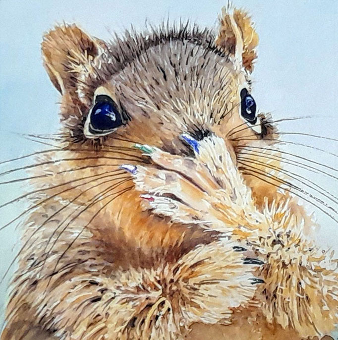 oeps, aquarel zonder glas 20 x 20 cm n.t.k.