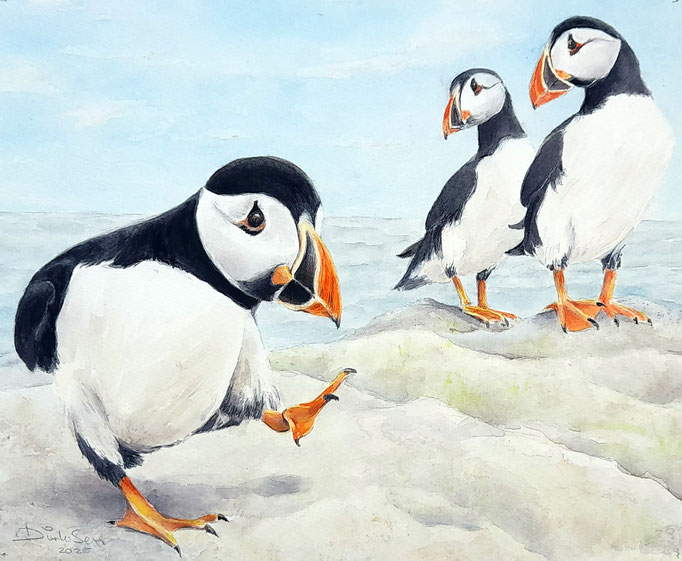 wat doet die gast|? aquarel zonder glas 24 x 30 cm n.t.k.
