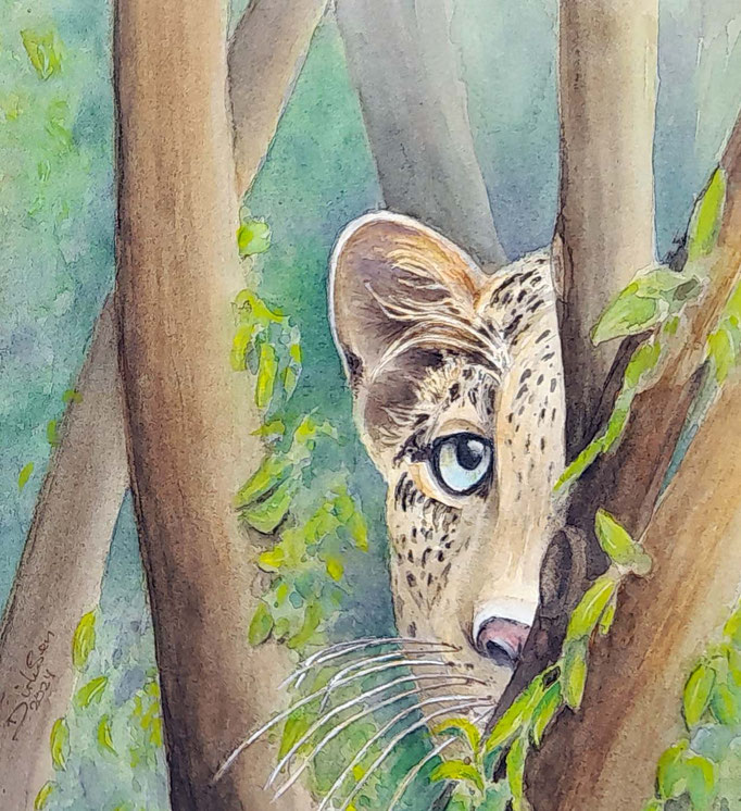Focus, aquarel zonder glas 20 x 20 cm