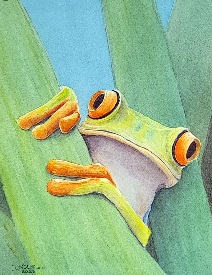 hier ben ik, aquarel zonder glas 18 x 24 cm n.t.k.