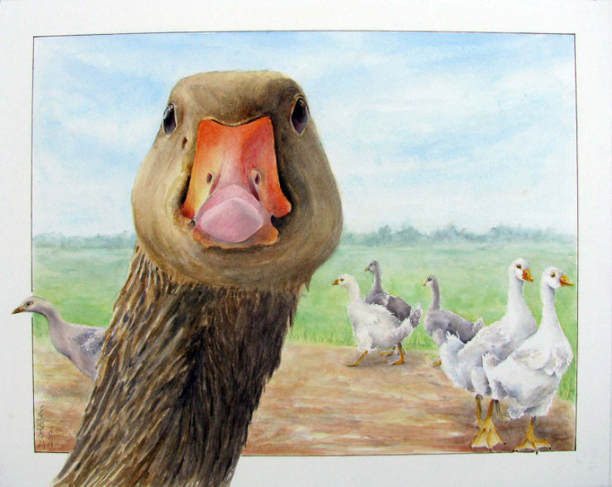 what's up Duck?, aquarel 40 x 50 cm