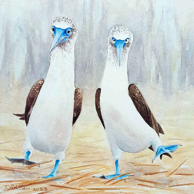 happy feet, let's dance, aquarel zonder glas 20 x 20 cm n.t.k.