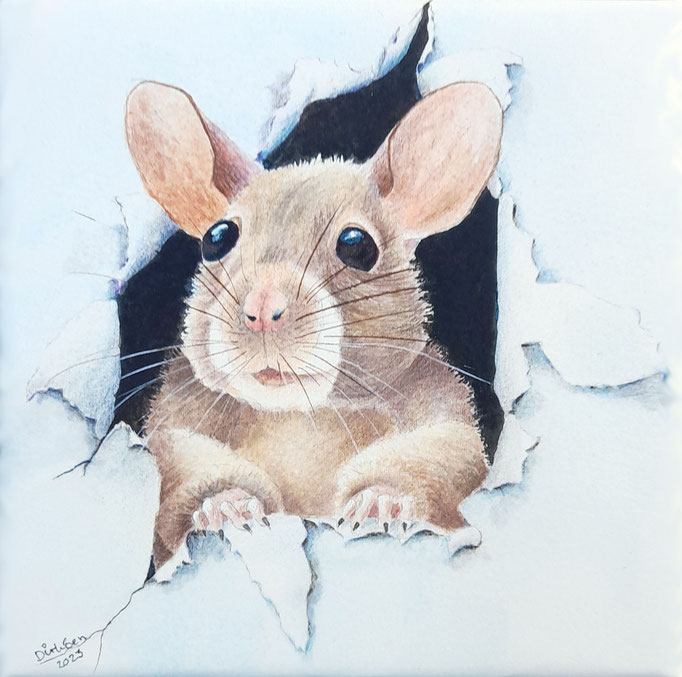 Dit verwachtte je niet, aquarel zonder glas 20 x 20 cm n.t.k.