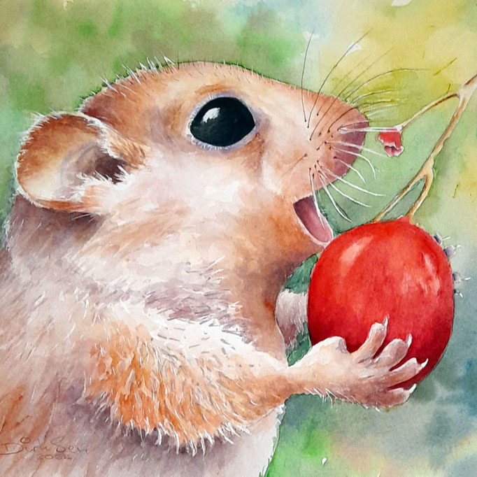 lekker hapje 30 x 30 cm aquarel zonder glas n.t.k.