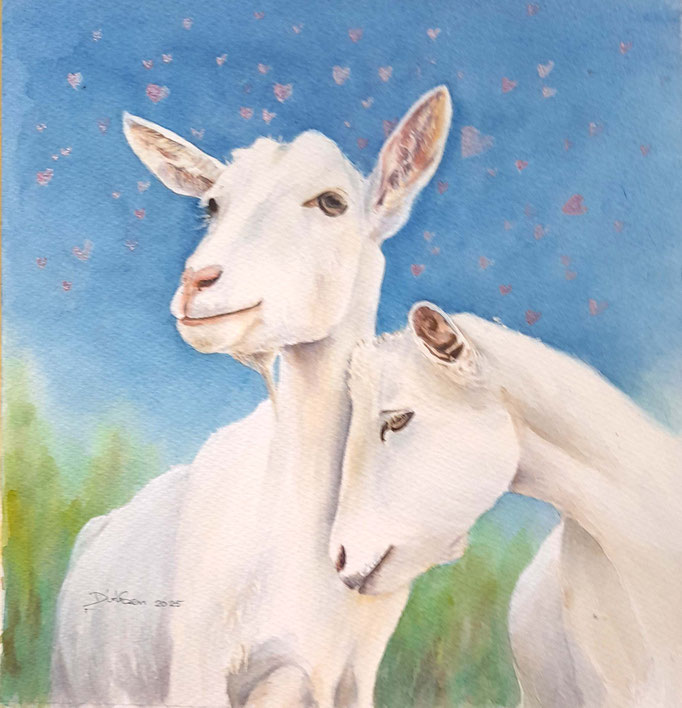 genegengeit, aquarel zonder glas 20 x 20 cm