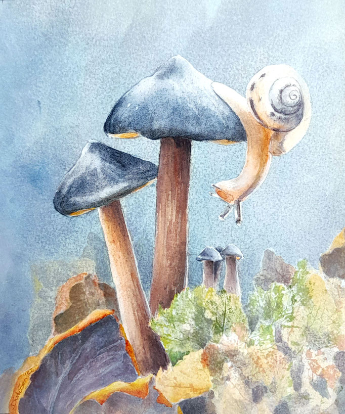 paddenstoelen  aquarel zonder glas 24 x 30 cm n.t.k.