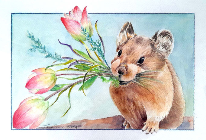 pika, aquarel 20 x 3- cm n.t.k.