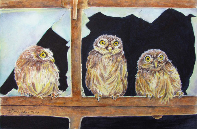 who has done it? aquarel