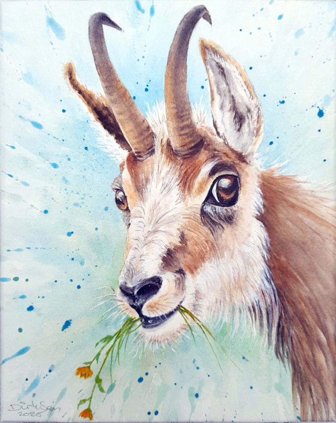 bokkig bloemetje, aquarel zonder glas 24 x 30 cm
