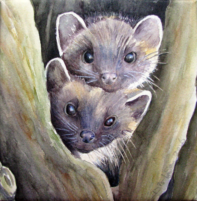 boommartertjes, aquarel 