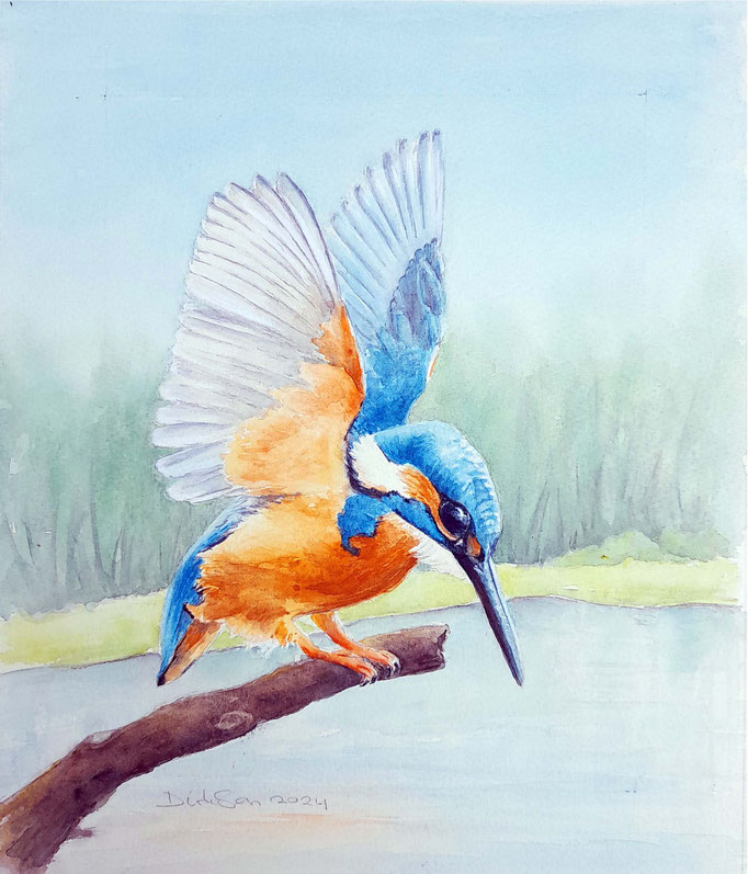 IJsvogel 1, aquarel zonder glas 18 x 24 cm n.t.k.