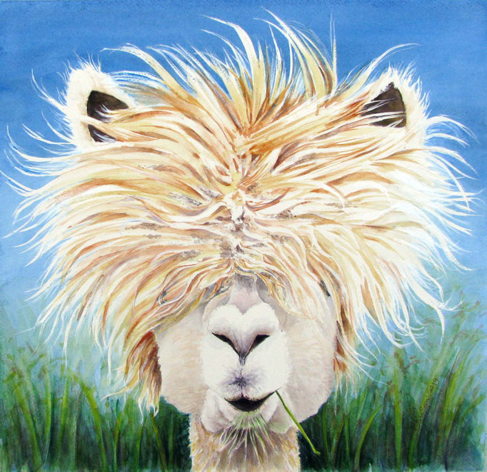 bad hairday, aquarel 50 x 50 cm