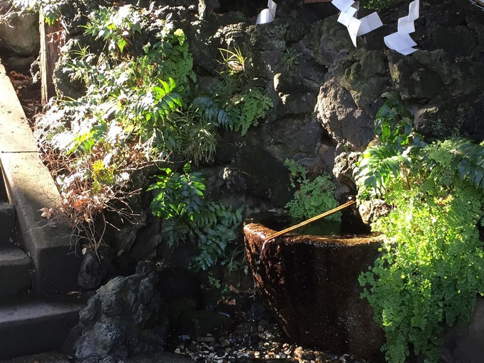 2021/01 八幡神社　湧き水