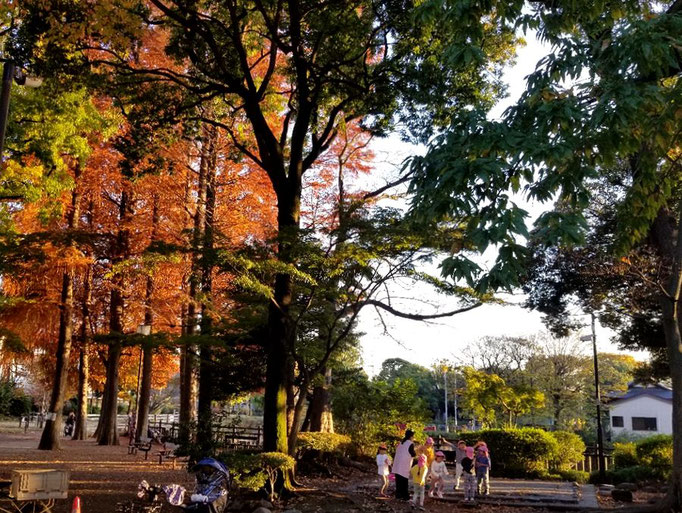 2022/11　秋の公園　せいめいくん