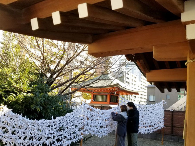 2023/1　おみくじ（大鳥神社）　せいめいくん