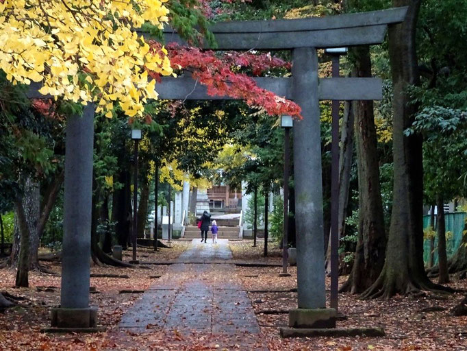 2019/12氷川神社（八雲） by @&@