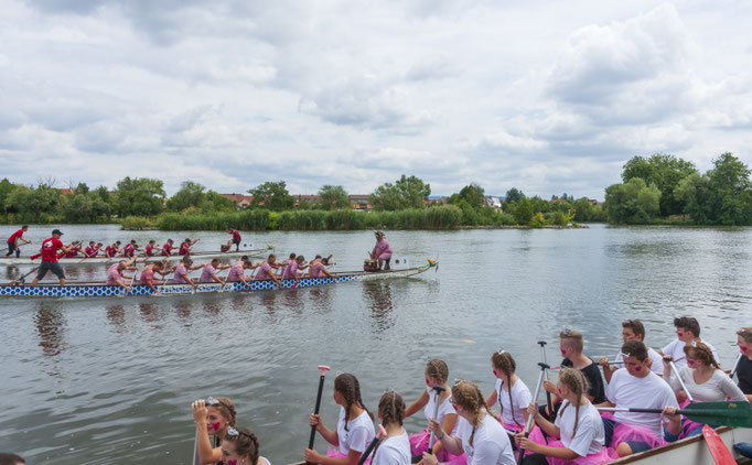 Kitzingen-Drachenboot-Rennen