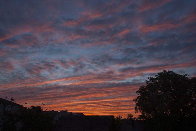 Kitzingen - Sonnenaufgang am 16.Juli 2017