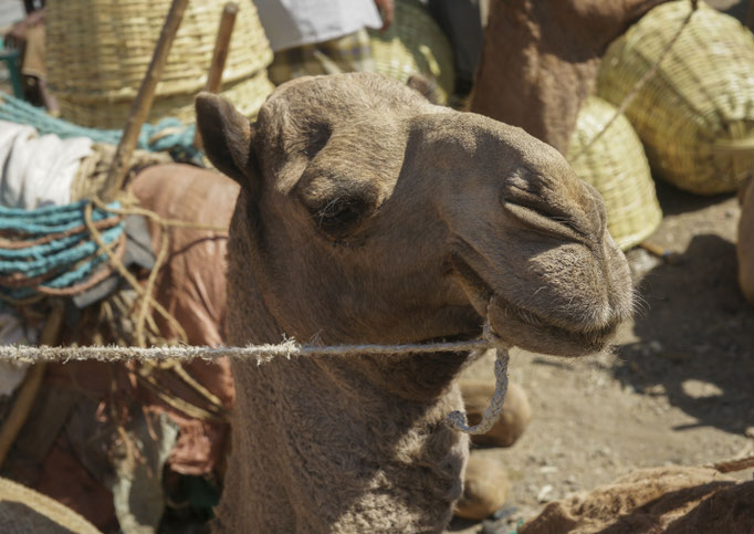 Ethiopia