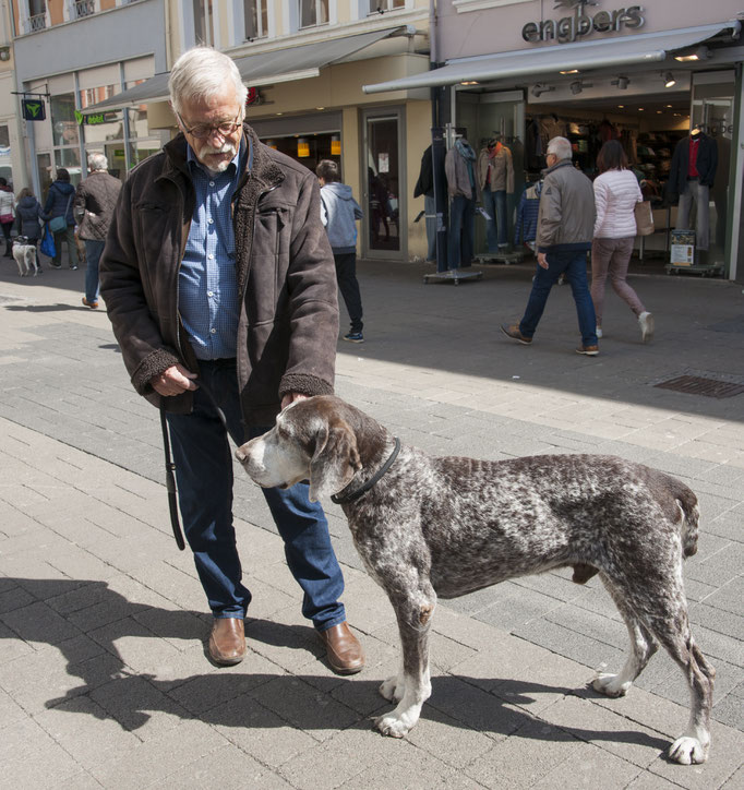 Jagdhund mit Herrchen aus Holland