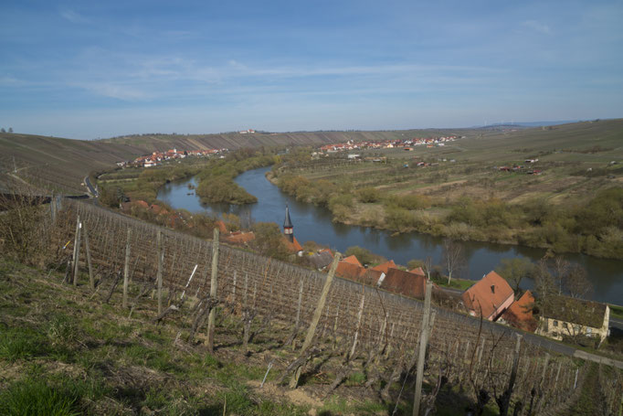 Mainschleife