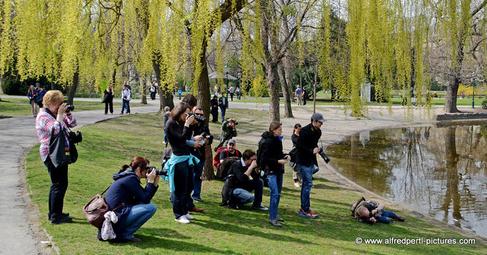 WIFI Fotowalk im Wiener Stadtpark