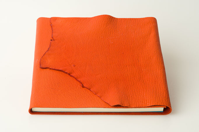 Schreibbuch Hirschleder Naturklappe mit Golddruck 24 x 18 cm