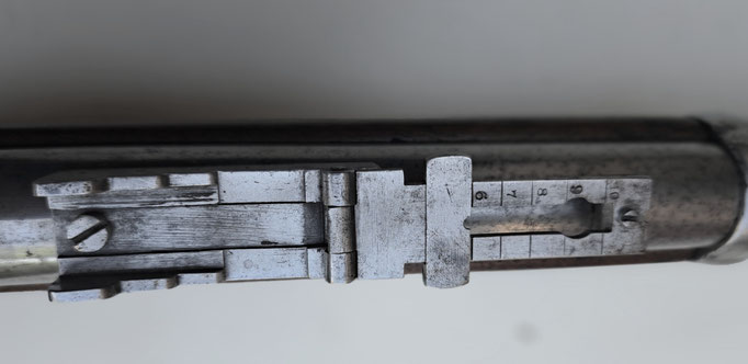 fusil rolling block  calibre 43 egyptien
