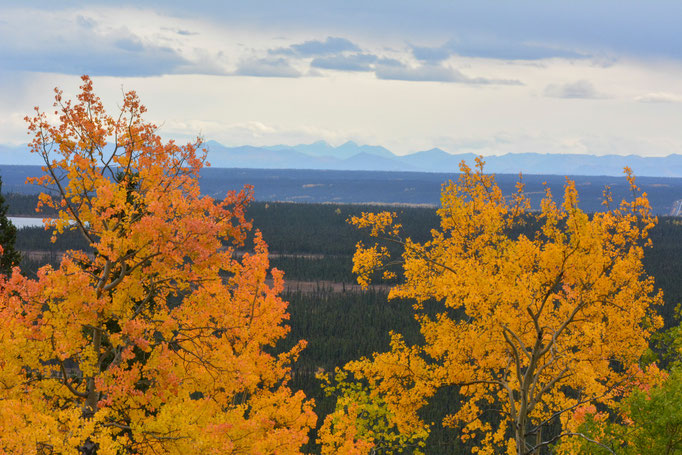 Herbstlandschaft am Richardson Highway