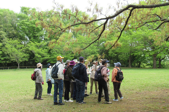 御成公園