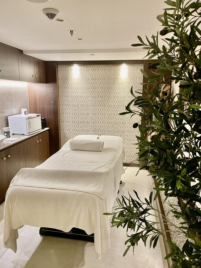 Wellness-Bereich der VIVA MOMENTS