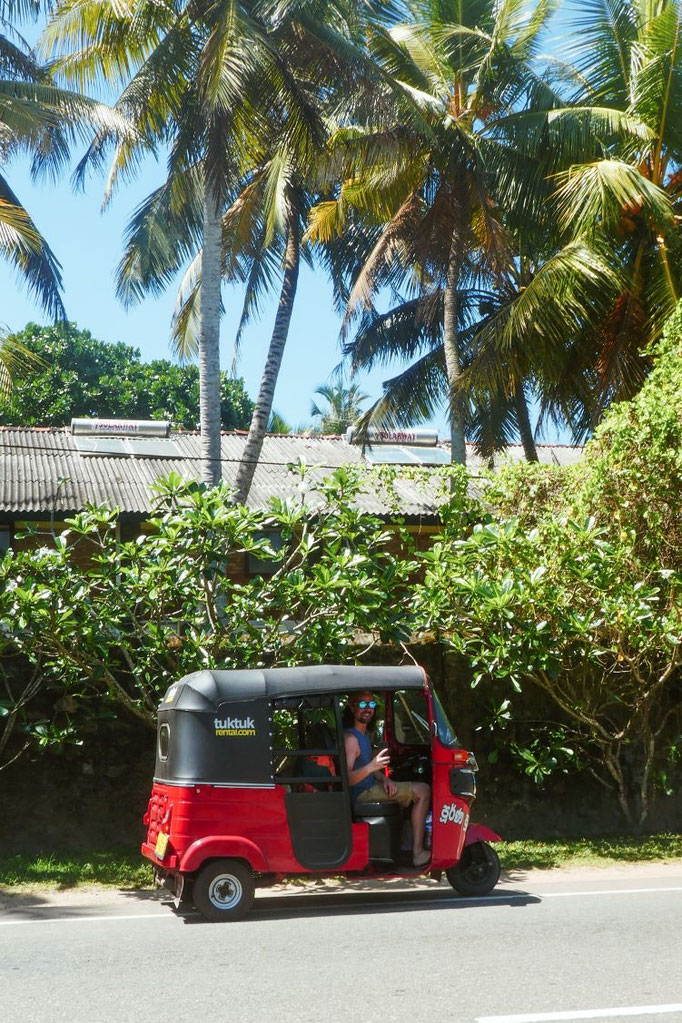 TukTuk mieten in Sri Lanka