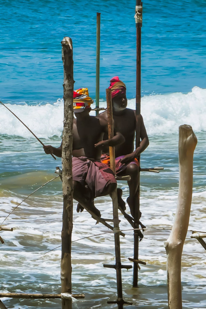 Stelzenfischer Sri Lanka