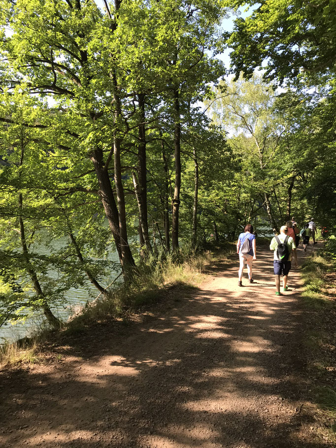 Edersee Seminarhaus Fünfseenblick