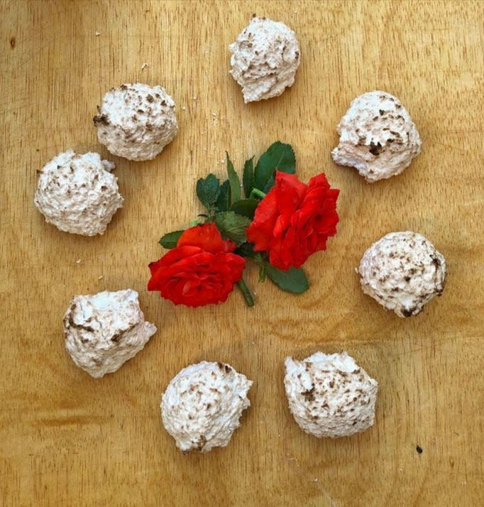 Sultanas de coco. No contiene gluten. Bandeja de 12 unidades, 5´50€