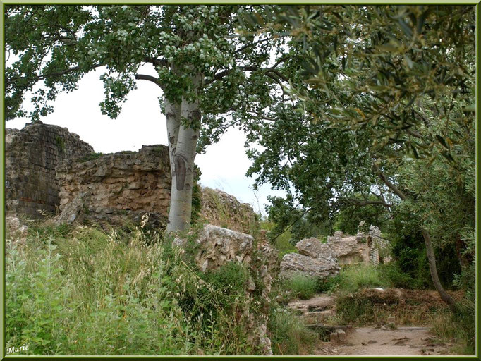 Aqueduc à Fontvielle dans les Alpilles (Bouches du Rhône)