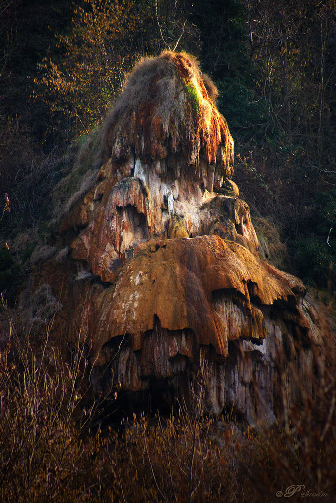 Auvergne ... La Source de la Tête de Lion ... 04.03.11