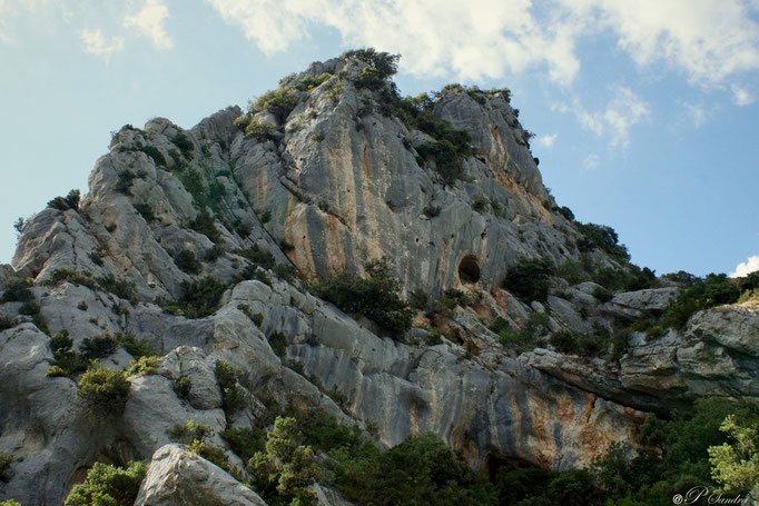 Gorges du Verdon ( Montmeyan ) 05.07.13