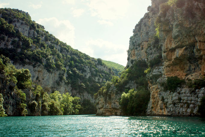 Gorges du Verdon ( Montmeyan ) 05.07.13