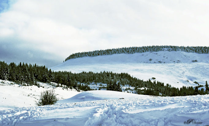 Auvergne ... Le cezallier ...  03.12.10