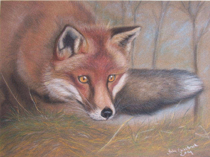 Fuchs auf der Lauer, 2014, Pastell, 24*30 cm